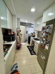 Oasis @ Elias (D18), Condominium #544478361